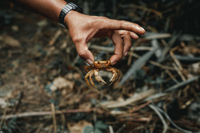 Close-up of person holding stick