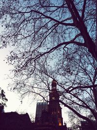 Low angle view of bare trees against sky