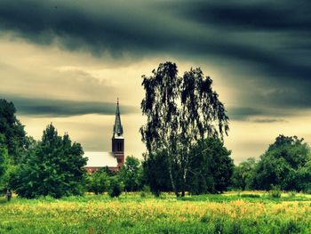 Trees on grassy field against cloudy sky