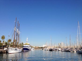 Sailboats moored in harbor