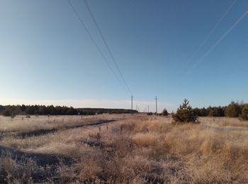 Scenic view of field against clear sky