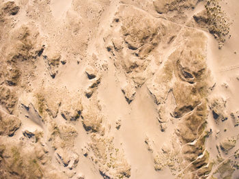 High angle view of footprints on sand at beach