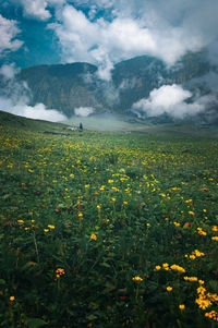 Scenic view of grassy field against cloudy sky