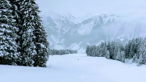 Trees on snow covered landscape against sky