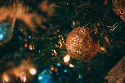 Close-up of christmas tree