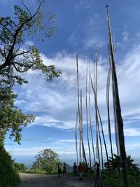 Low angle view of people by trees against sky