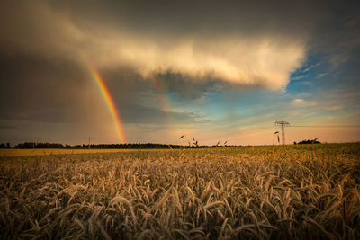 Scenic view of field against sky at sunset