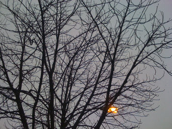 Low angle view of bare trees against sky at sunset