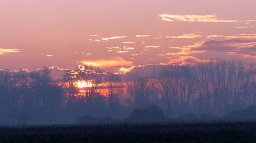 Scenic view of trees against sky during sunset