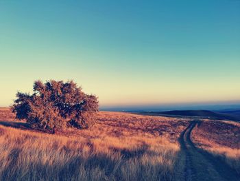 Scenic view of land against clear sky