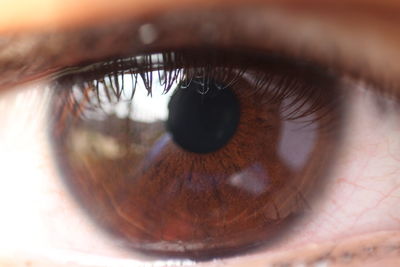 Close-up portrait of human eye