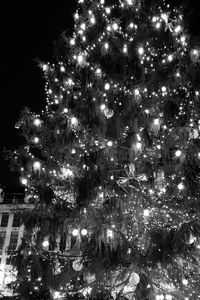 Low angle view of illuminated tree against sky at night