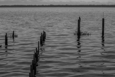 Wooden posts in lake