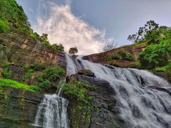 Scenic view of waterfall in forest