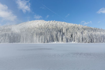 Low angle view of snow on tree against sky