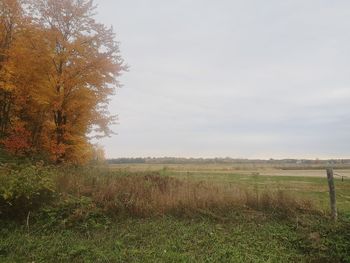 Scenic view of field against sky during autumn