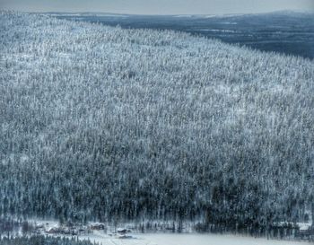 Scenic view of landscape
