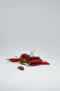 Close-up of red chili pepper against white background