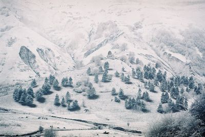 Aerial view of snow covered landscape