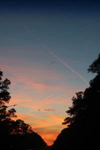 Low angle view of silhouette trees against sky