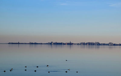 Birds in lake against clear sky