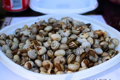 Close-up of food in container