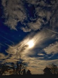 Low angle view of silhouette trees against sky