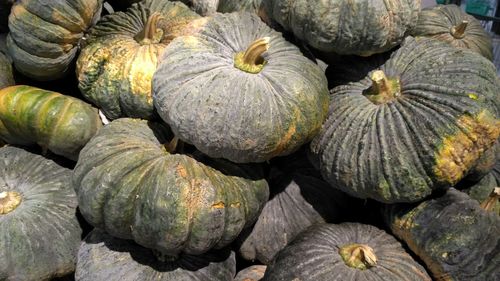 Full frame shot of pumpkins at market