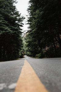 Road amidst trees against sky