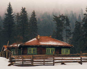 House in forest during winter