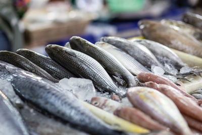 Close-up of fish for sale in market