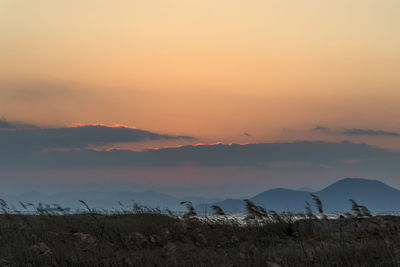 Scenic view of field against sky during sunset