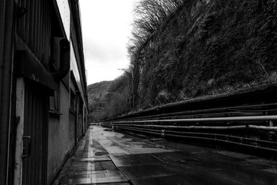 Railroad tracks amidst trees against sky