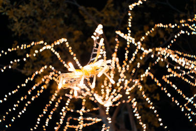 Close-up of illuminated christmas tree at night