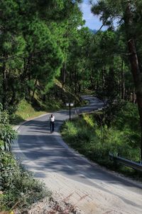 Man walking on road amidst trees in forest