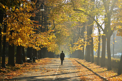 Rear view of man walking on road