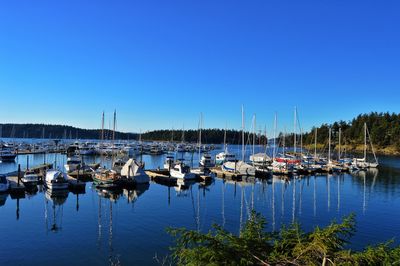 Boats moored at harbor