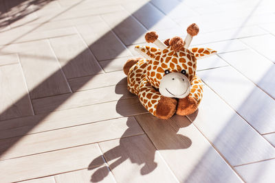 Children's soft plush toy giraffe sit on  wooden background, hard light and shadow