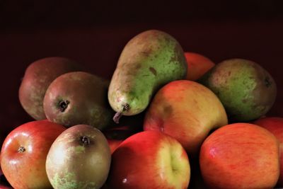 Close-up of apples against black background