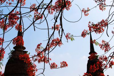 Low angle view of tree against sky