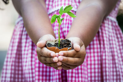 Midsection of girl holding plant