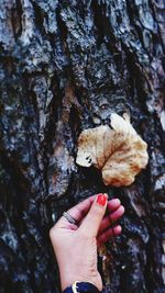 hand