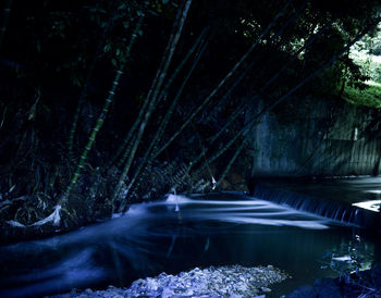 Scenic view of lake in forest at night