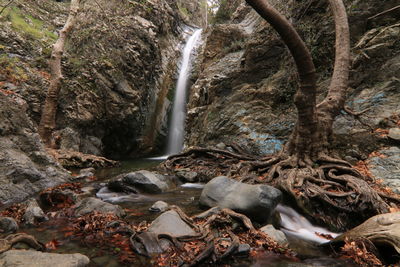 Scenic view of waterfall in forest