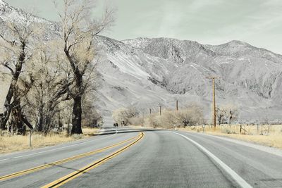 Road amidst trees against sky during winter