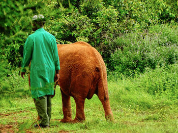 Rear view of man standing on field