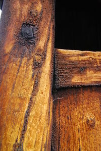 Close-up of wood