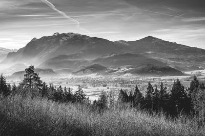 Trees on field by mountains against sky