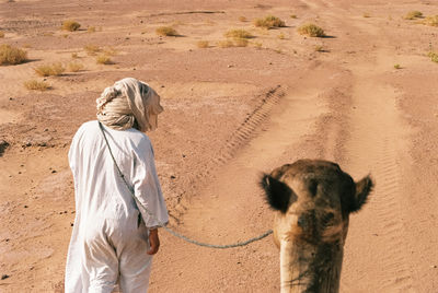 Personal perspective of camel ride being led by a man