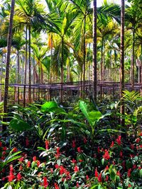 Scenic view of water falling on palm trees